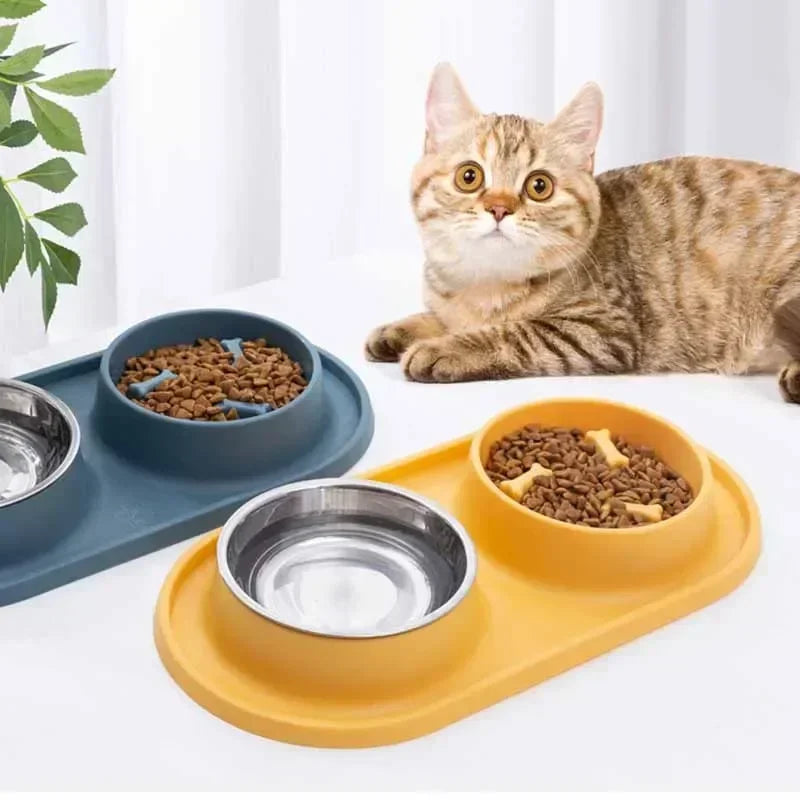 Slow Feeder & Water Bowl