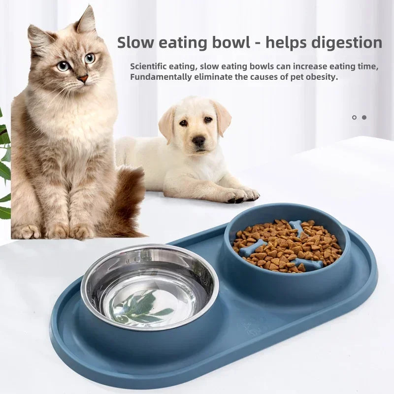 Slow Feeder & Water Bowl