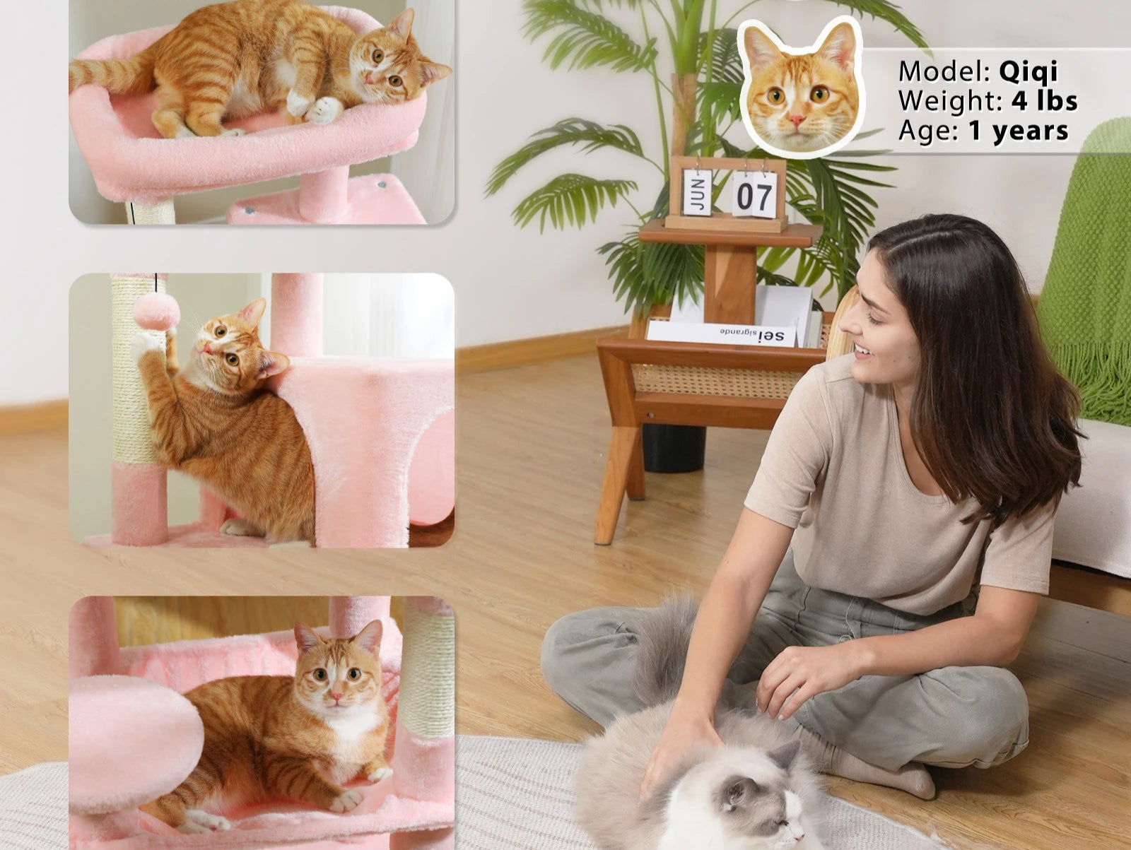 5-Level Cat Tower