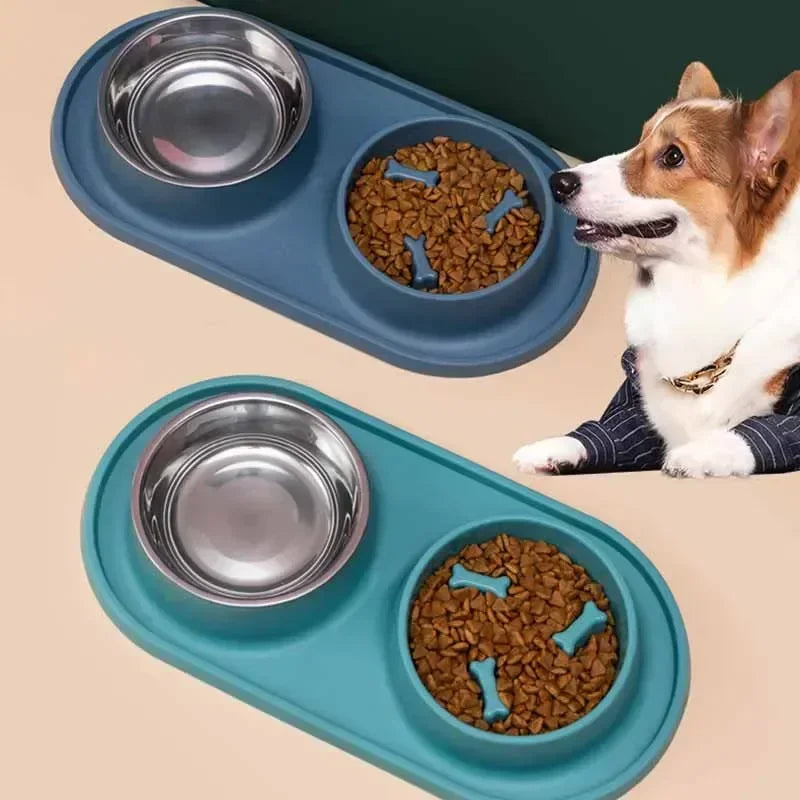 Slow Feeder & Water Bowl